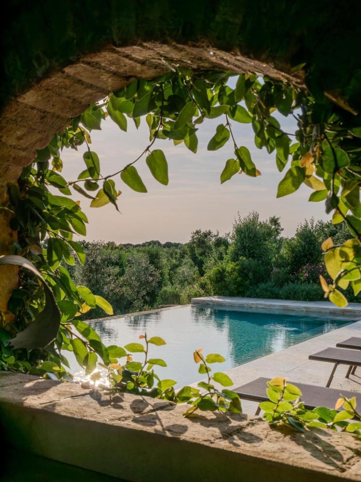 Podere Le Mezzelune Bibbona Exterior photo